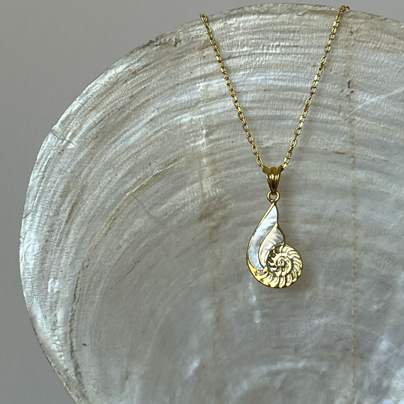 Rapana Kolye Silver